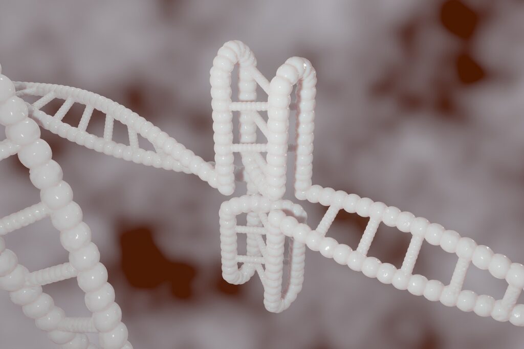 dna, genetic, mensch